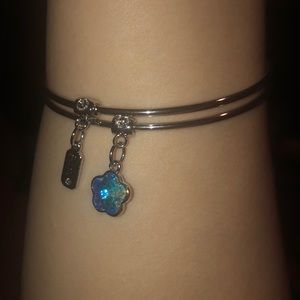 🆕Swarovski Silver Bangles with Sliding Loop Charm
